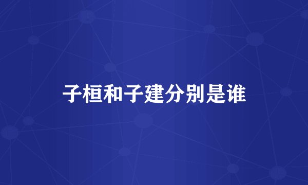 子桓和子建分别是谁