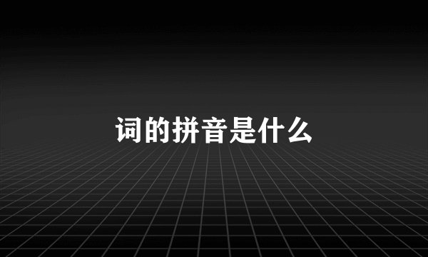 词的拼音是什么