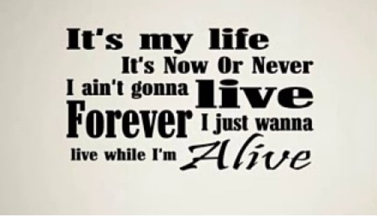 its my life 是什么意思中文