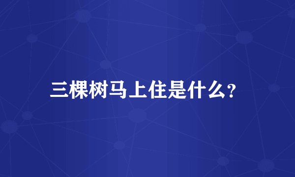 三棵树马上住是什么？