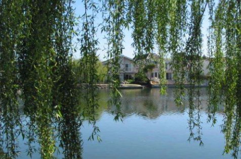 有意栽花花不发,无心插柳柳成的意思？