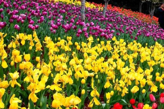 关于颜色的成语有哪些？