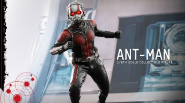 英语单词ant怎么读？