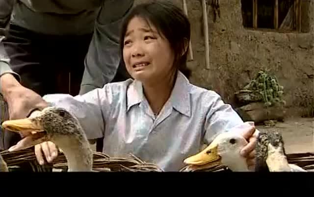 谁有《暖春》的演员表