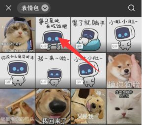 微信怎么添加自定义动态表情