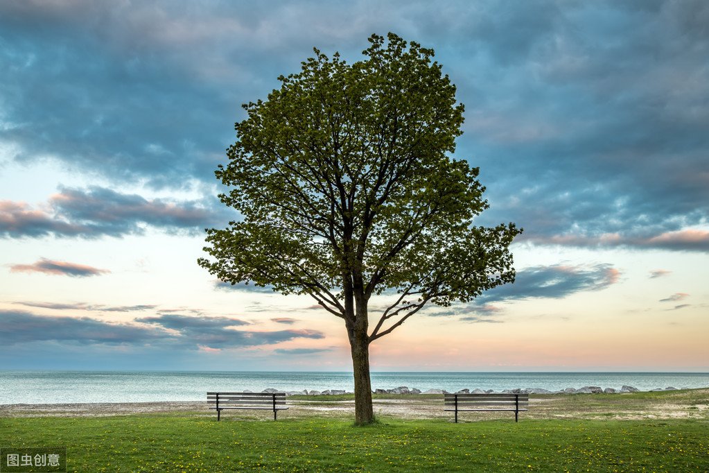 一般冰箱冷冻调到多少度最好？
