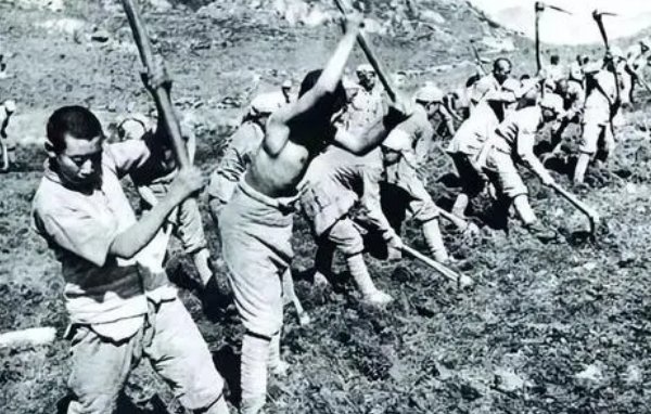 南泥湾开荒的故事主要内容？