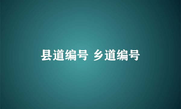 县道编号 乡道编号