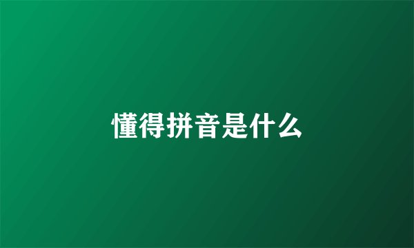 懂得拼音是什么