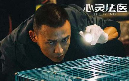 心灵法医剧情介绍