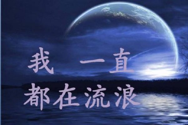 超级好听的情歌有哪些?