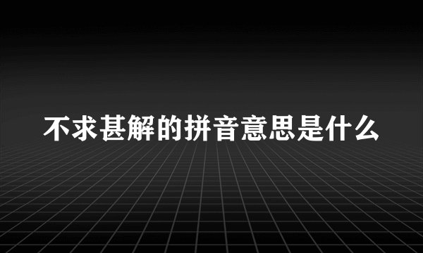 不求甚解的拼音意思是什么