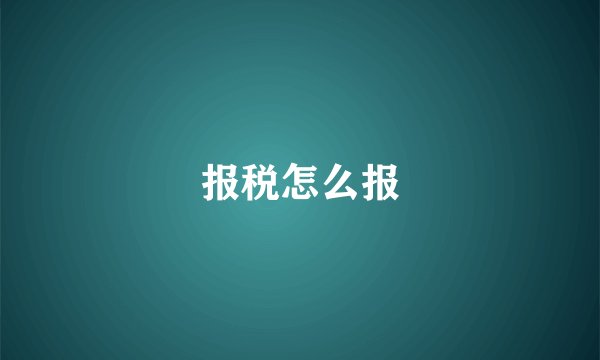 报税怎么报
