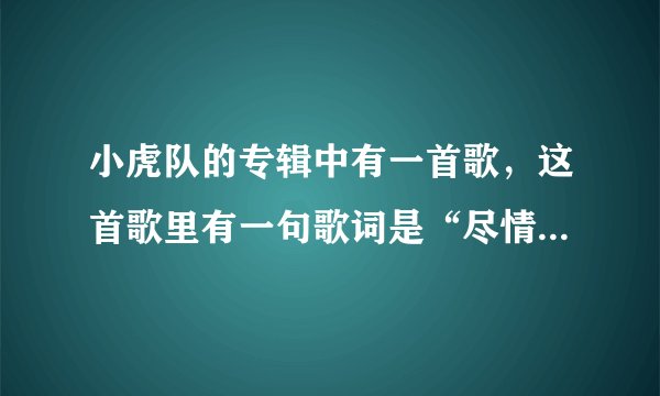 小虎队的专辑中有一首歌，这首歌里有一句歌词是“尽情摇摆”的 这首歌名是？