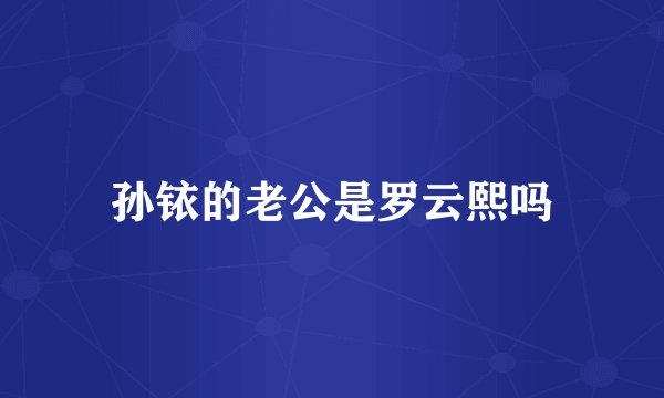 孙铱的老公是罗云熙吗