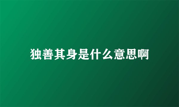 独善其身是什么意思啊