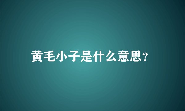 黄毛小子是什么意思？