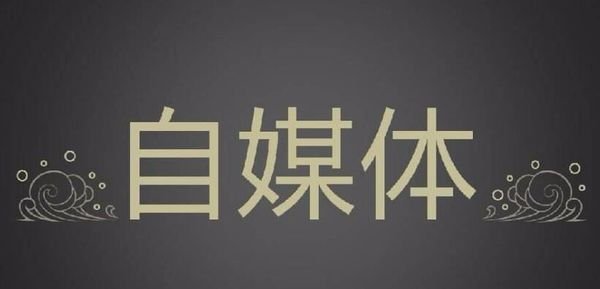 media是什么意思