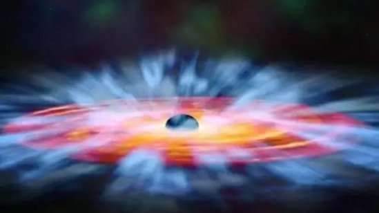 共赴鸿蒙指什么