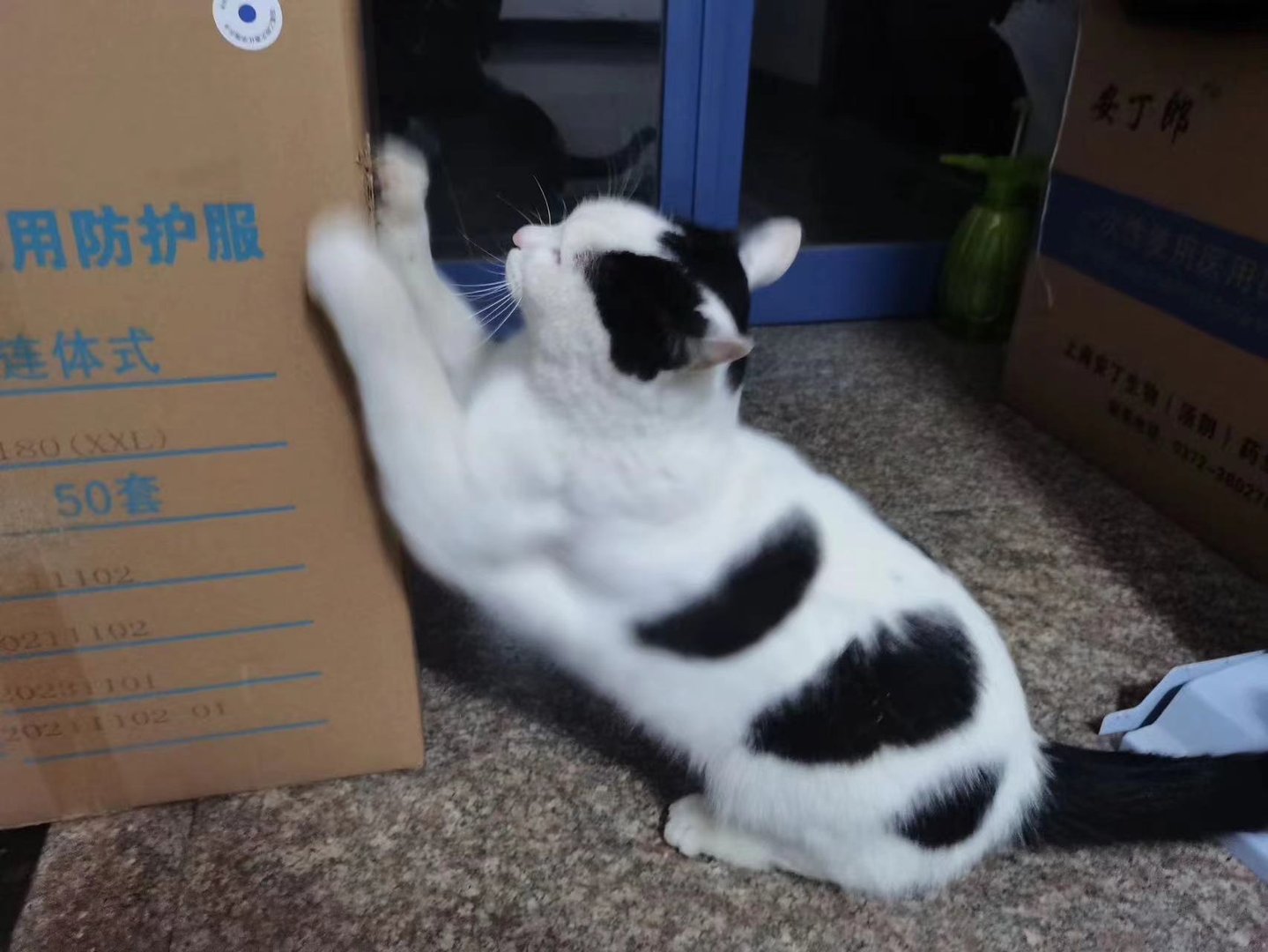 西华大学怎么样