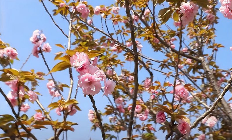 江西科技学院好吗