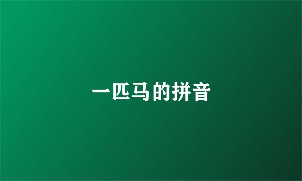 一匹马的拼音