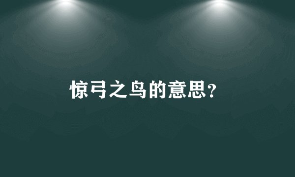 惊弓之鸟的意思？