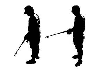 外套膜的总体结构