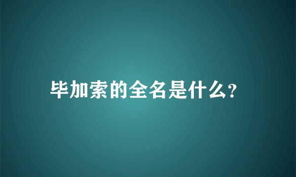 毕加索的全名是什么？