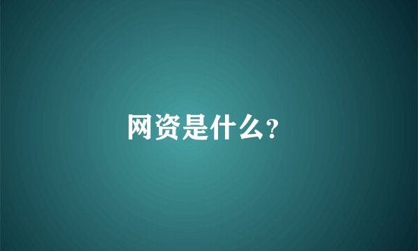 网资是什么？