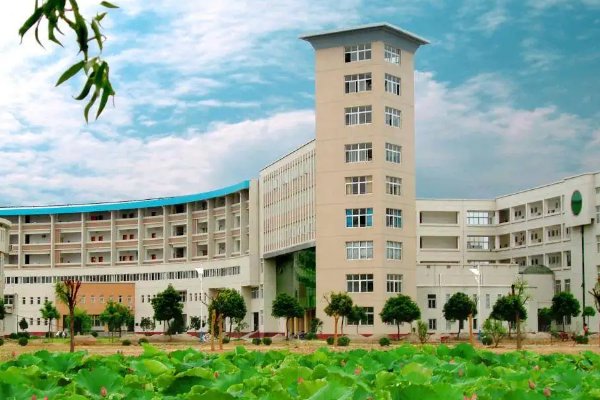 武汉二本大学有哪些学校