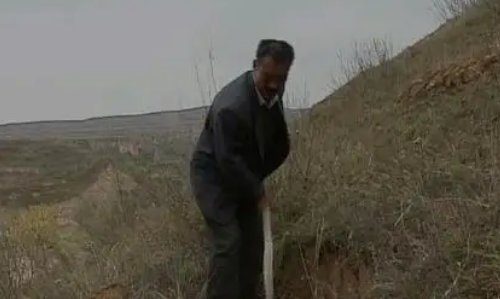 保护环境的杰出人物事迹有哪些?