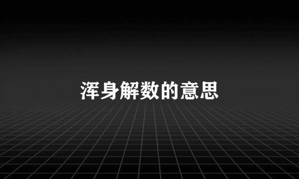 浑身解数的意思