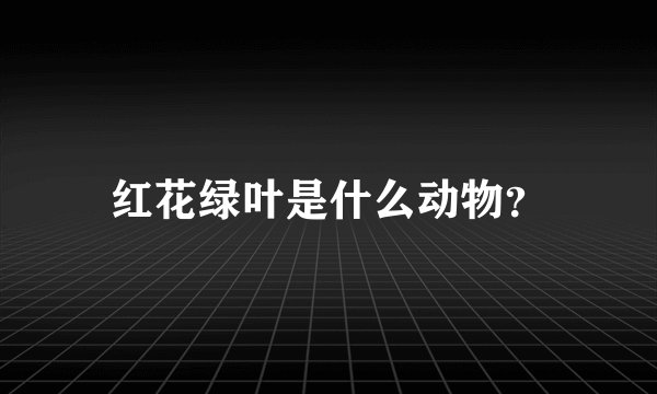 红花绿叶是什么动物？