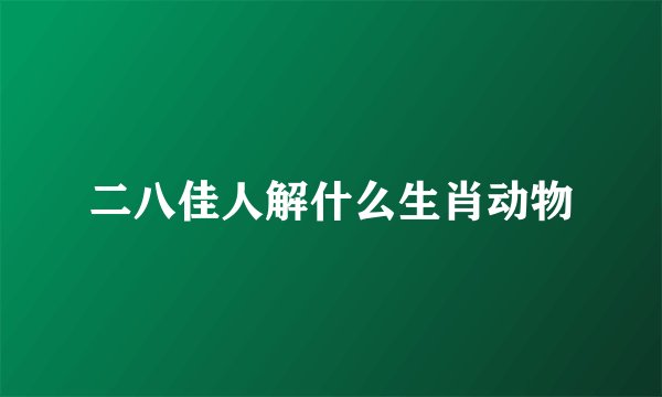 二八佳人解什么生肖动物