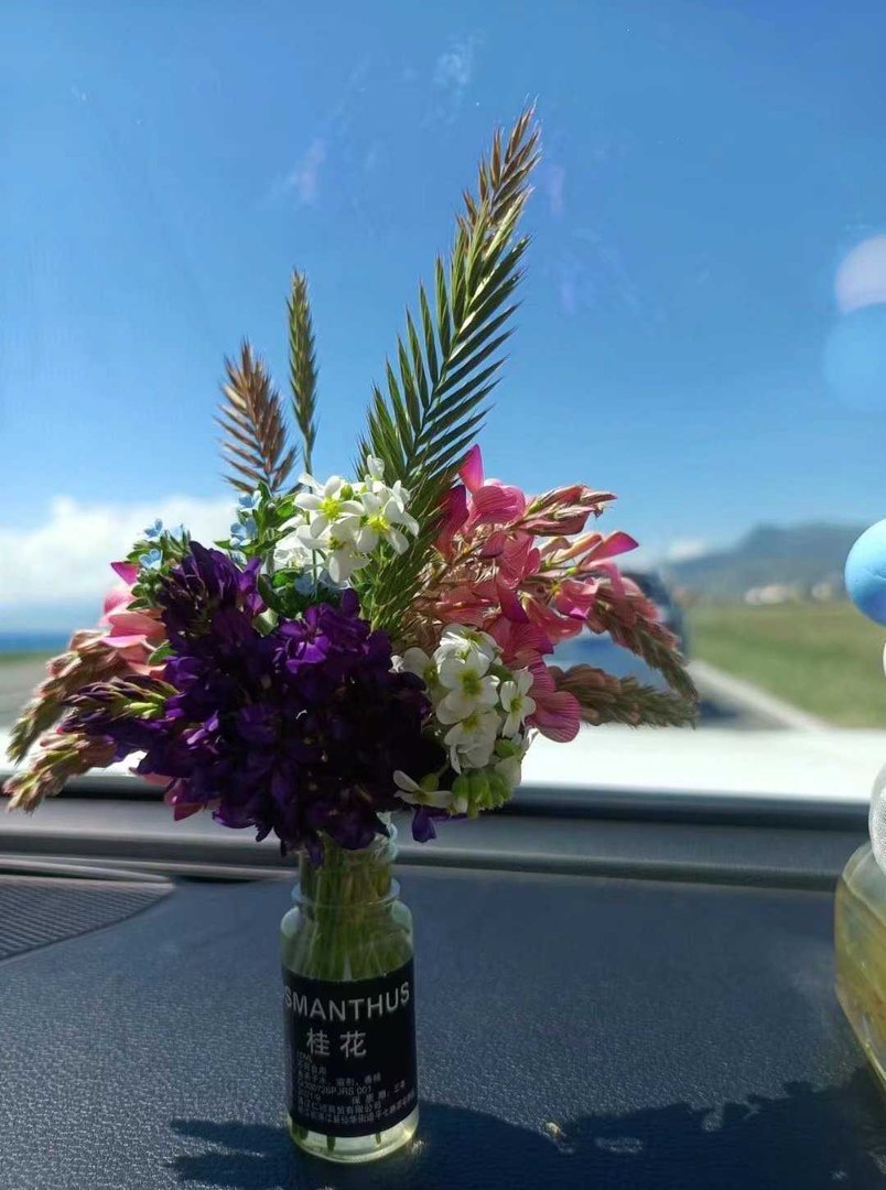 红颜知己是什么意思啊