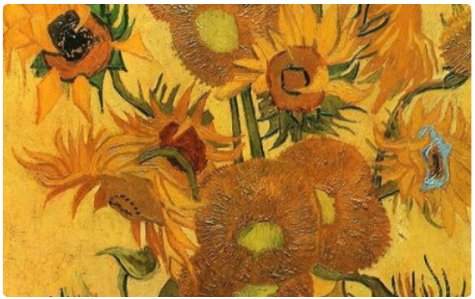 《向日葵》的作者是达芬奇还是梵高？