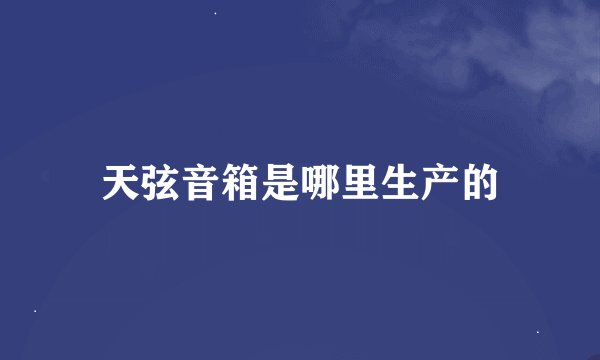 天弦音箱是哪里生产的