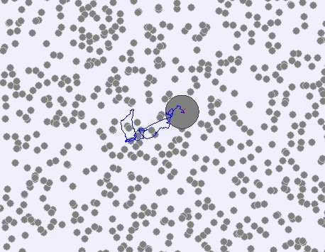 什么是布朗运动？