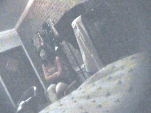 红狐女王的月收入过万