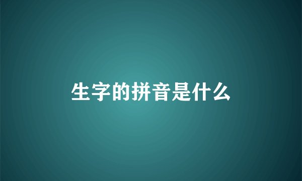 生字的拼音是什么