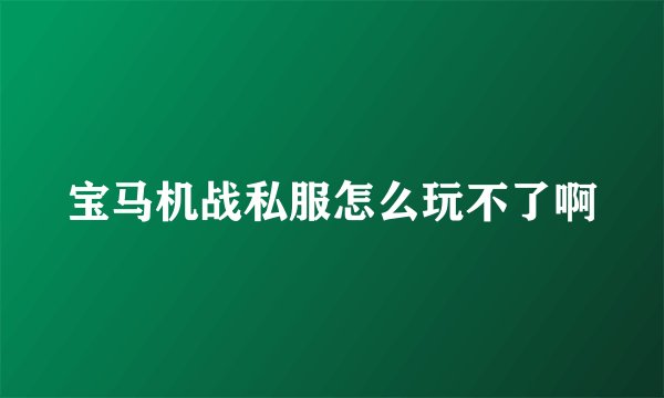 宝马机战私服怎么玩不了啊