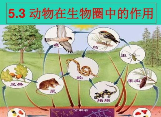 生物圈范围是什么?