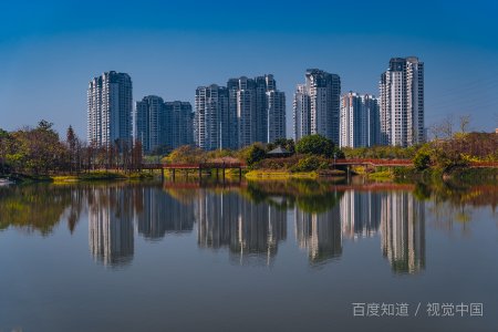 广东第二师范学院代码?