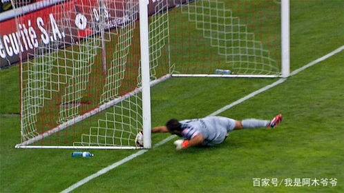 意大利杯决赛开始试用门线技术，对此你有哪些了解呢？