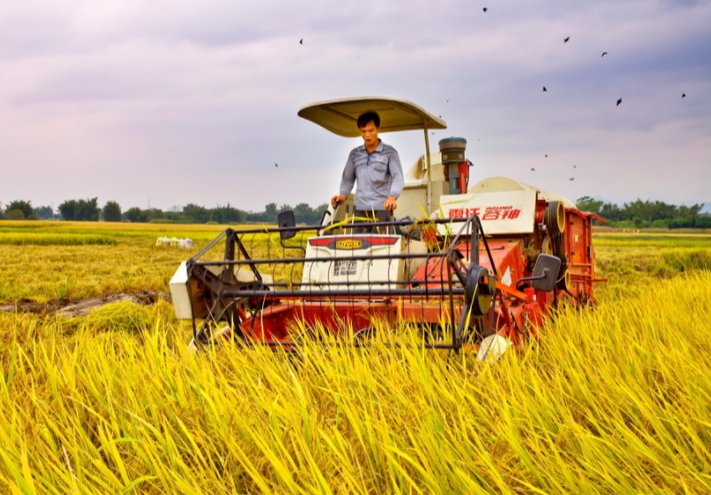 什么是现代农业