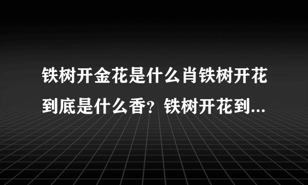 铁树开金花是什么肖铁树开花到底是什么香？铁树开花到底是什么生肖？