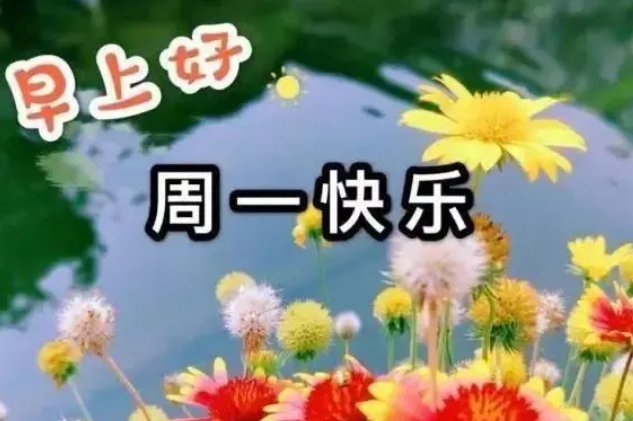 周一英文缩写是什么?