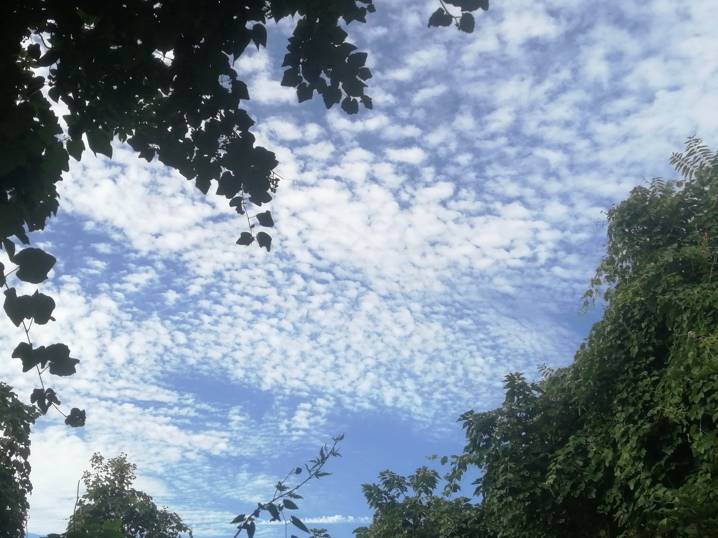 电脑蓝屏怎么办