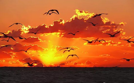 太阳为什么总是从东方升起，从西边落下？